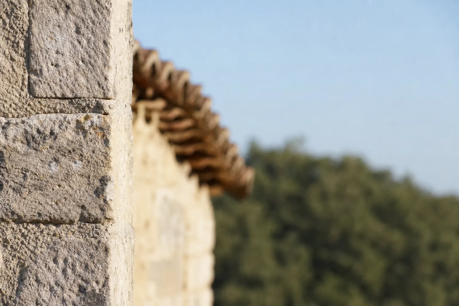 Maison en pierre calcaire à tuiles romanes en lisière de garrigue, chênes verts au second plan