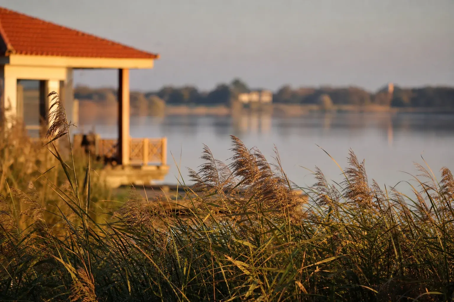 Pavillon bas à toit de tuiles au bord d’une lagune, roselière au premier plan