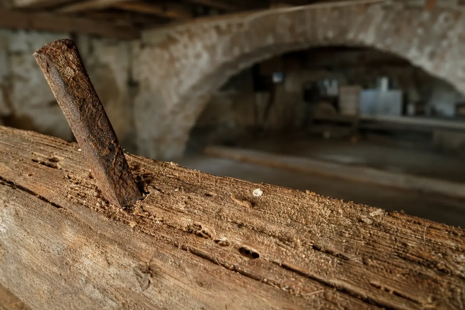 Poutre de plancher ancienne et poinçon métallique enfoncé dans le bois, galeries visibles